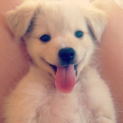 Анастасия Петрова