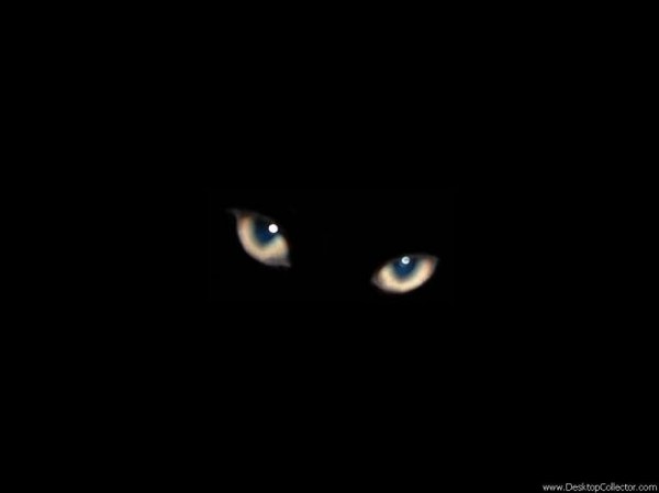 Марина Ильясова