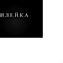 Дмитрий Пидгородецкий