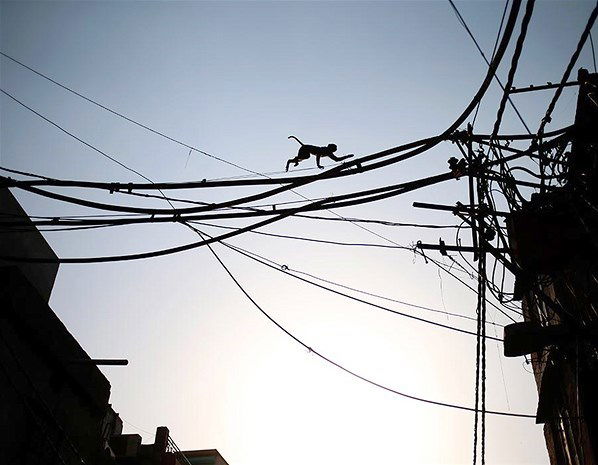 Игорь Кузнецов