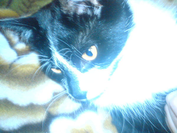 Сергей Харин