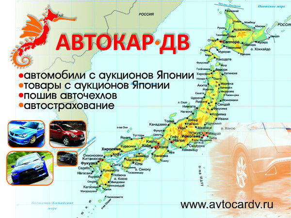 Владимир Гнедой