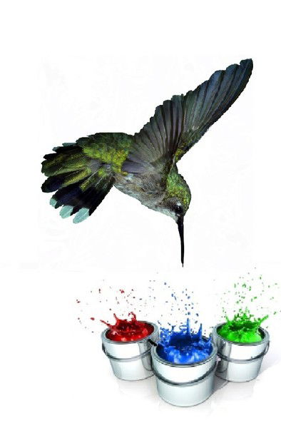 Автоэмали Колибри