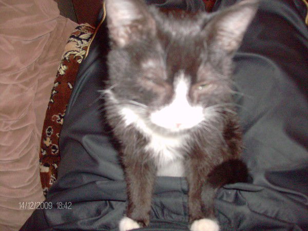 Артём Яскин