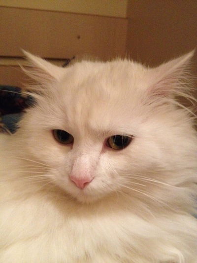 Дмитрий Журавлев