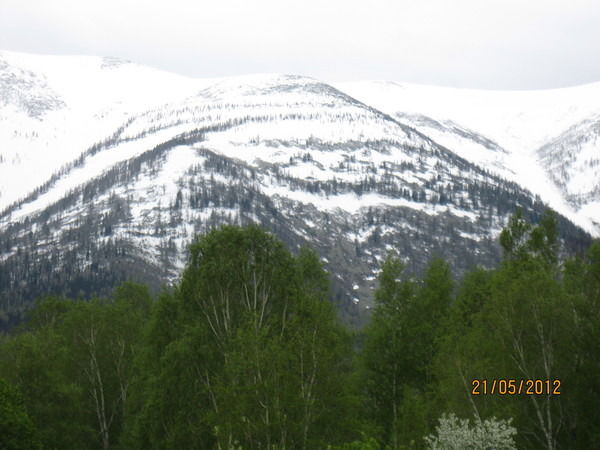 Иван Анисимов