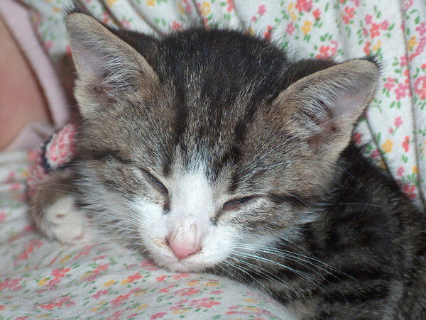 Наталья Копейкина