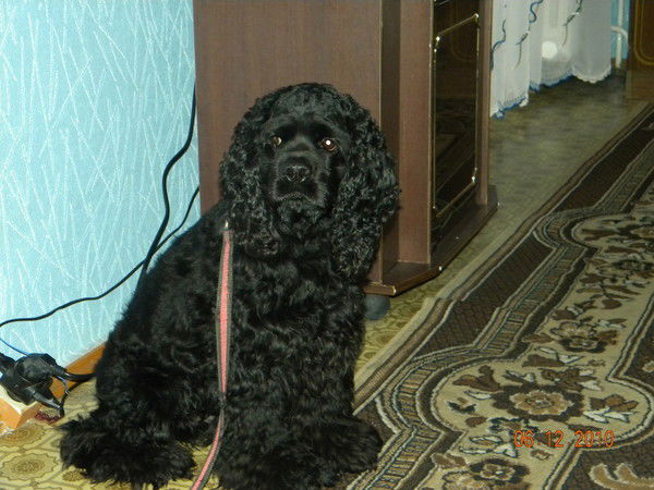 Ольга Фадеева