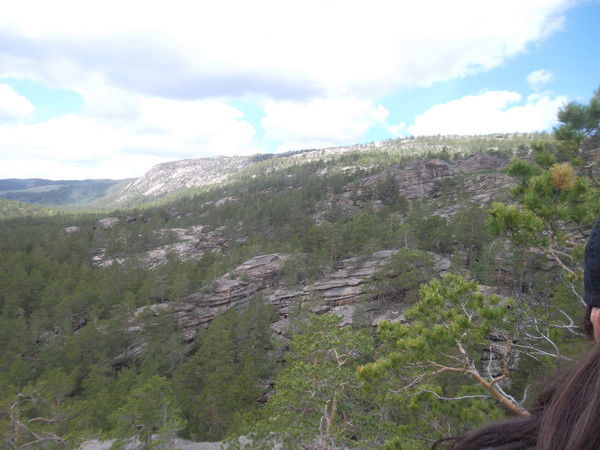 Каркаралинская Районная Ветстанция Ветстанция