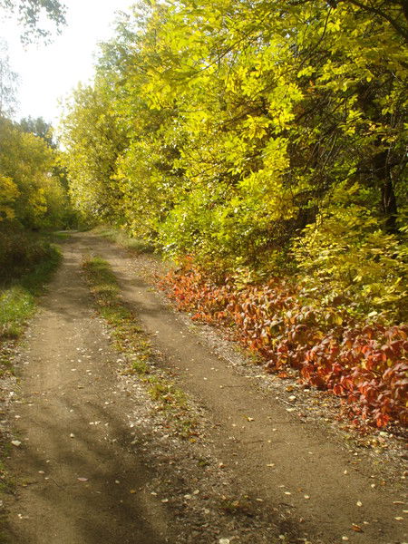 Евгения Яковлева