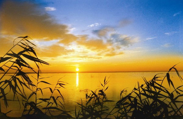 Альфия Кушекова