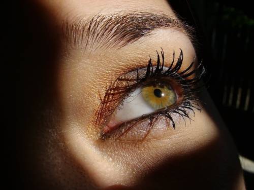 Вероника Семенюта