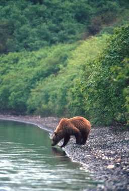 Валера Жигалин