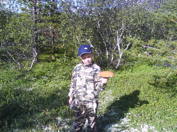 Владислав Шахов