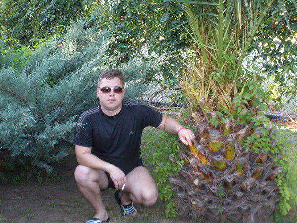 Сергей Щуров