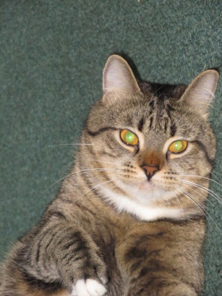 Владимир Карпяк