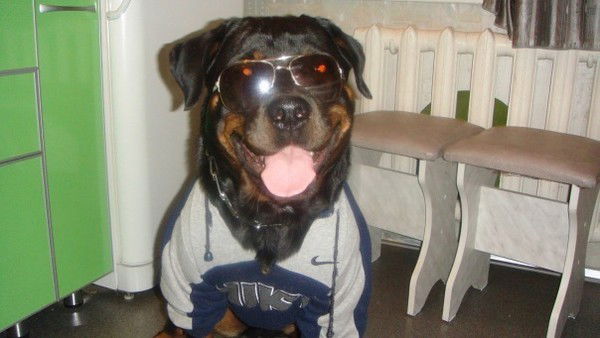 Сергей Сиюткин