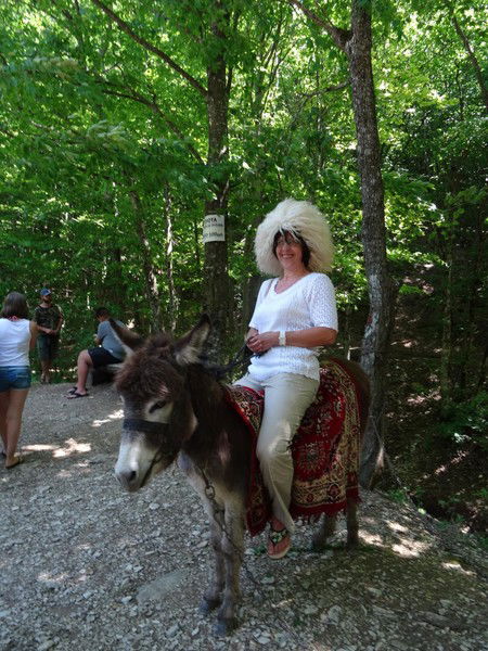 Елена Позитифф