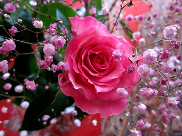 Ирина Александровна