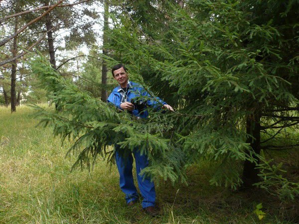 Владимир Горбунов