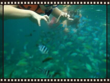 Сонечка Жабко