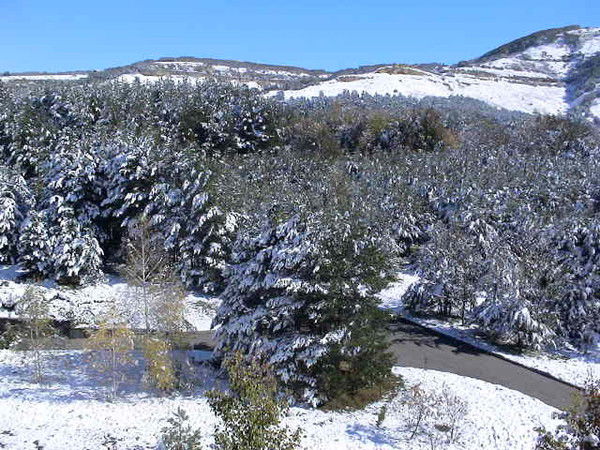 Олег Хабаров