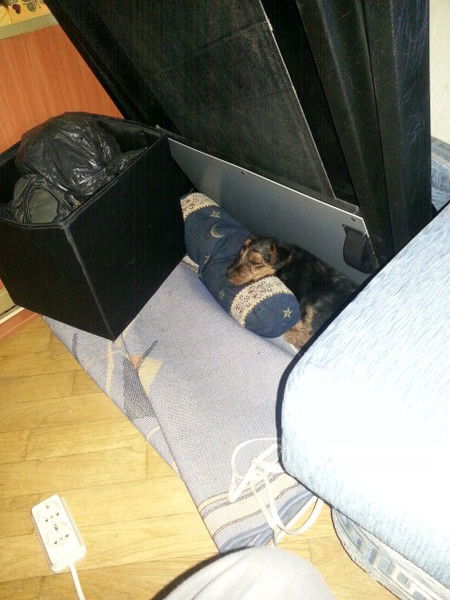 Виталий Егорычев