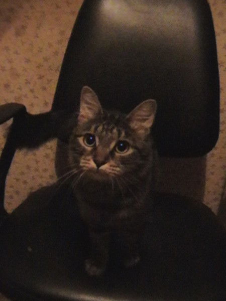 Валерий Дудоладов