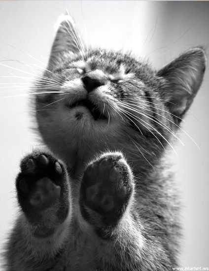 Татьяна Каримова