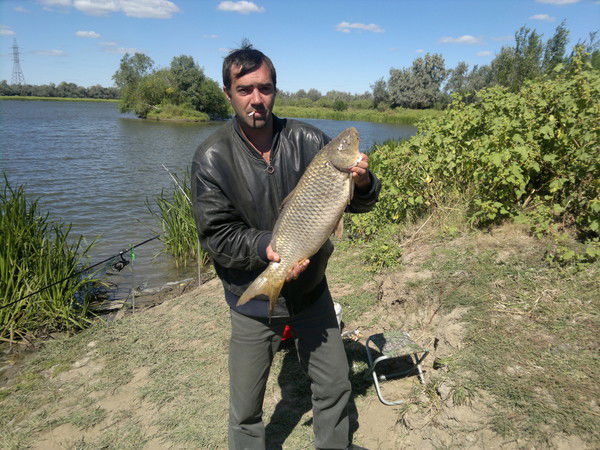 Владислав Просветов