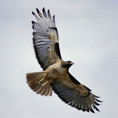 Владимир Клунько