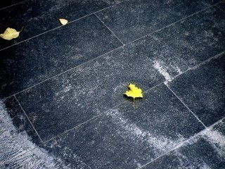 Настя Жаховская