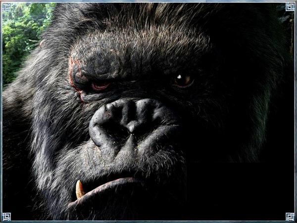 Иннокентий Федоров