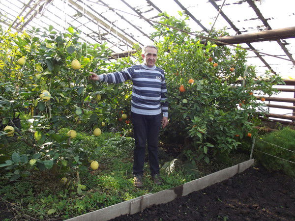 Игорь Владимирович Кононов