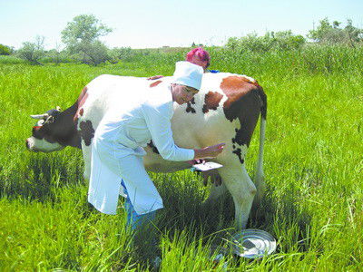Гкп На Пхв Мал Дарігері