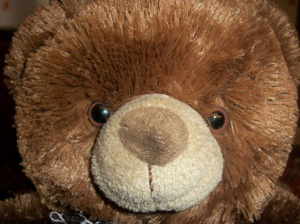 Николай Кулинич