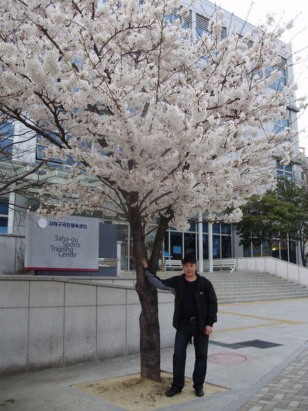 Александр Алексеев