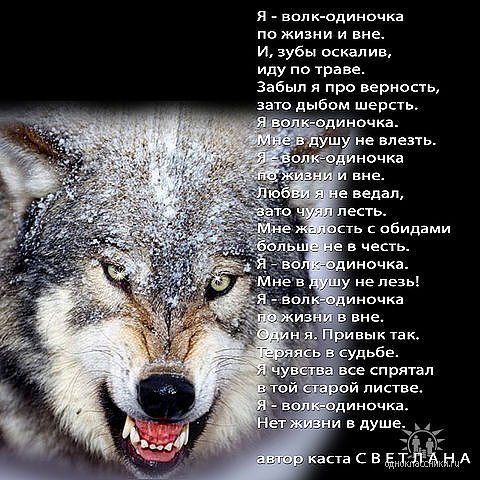 Дмитрий Метиев