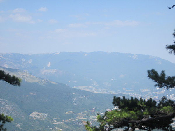 Светлана Левченко