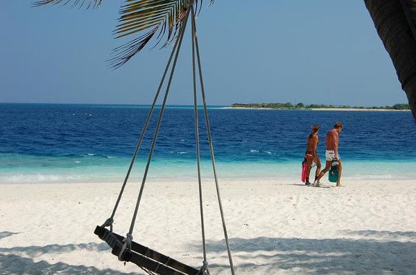 Елена Папка