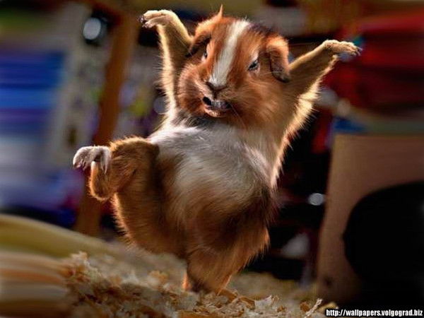 Клауд Клаудович