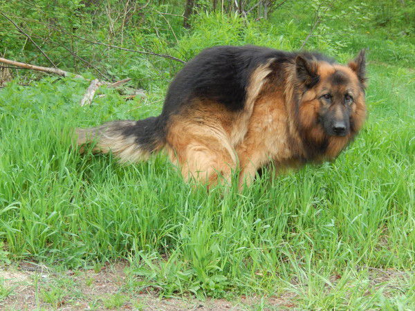 Александр Калинин