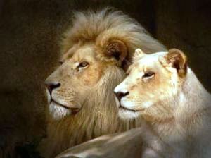 Ольга Атанова.