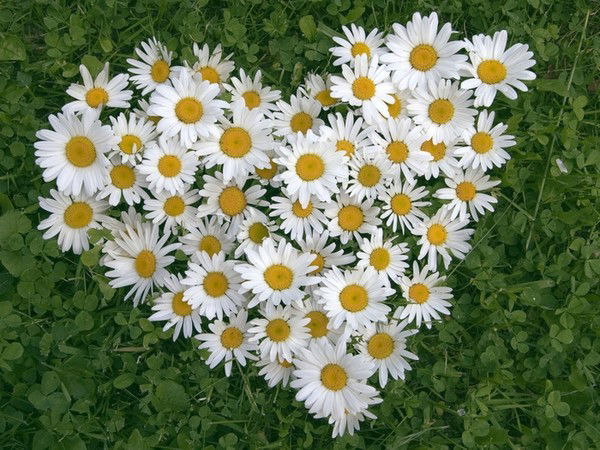 Елена Затеева