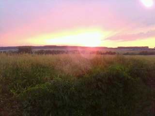 Татьяна Софрикова