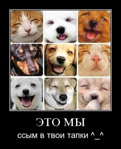 Евгения Станиславовна