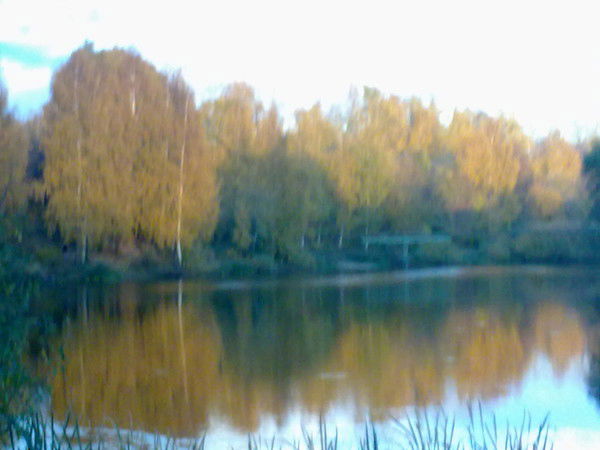 Светлана Петнюнене