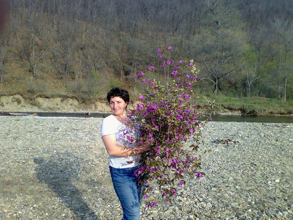 Анна Полтинина (Крапива)