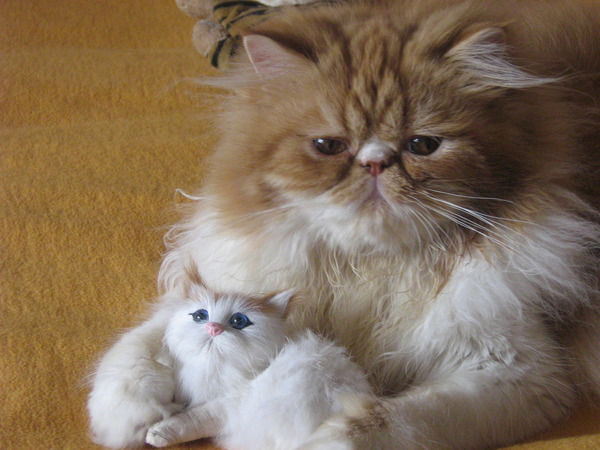 Наталья Михайлова