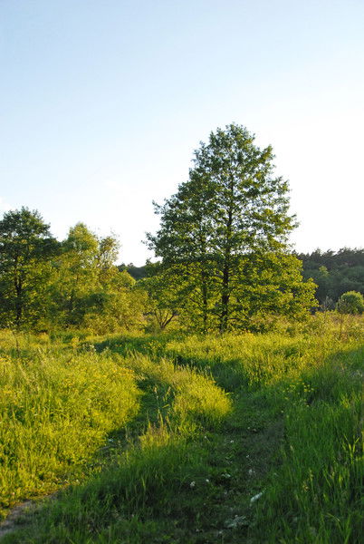 Isangalin@mail.ru Исангалин